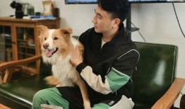 最新网友爆料林生斌,网友爆料揭露惊人真相